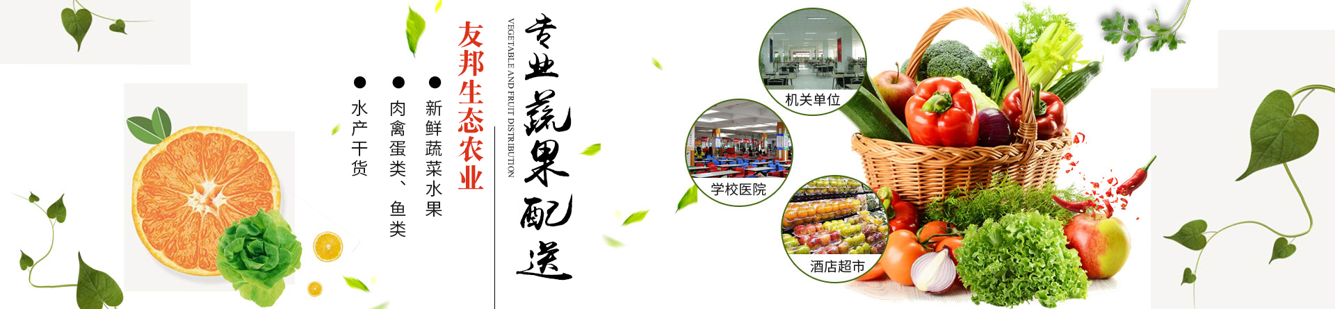 郴州市友邦生態(tài)農(nóng)業(yè)開(kāi)發(fā)有限公司_蔬菜配送公司|郴州食材配送|郴州蔬菜配送|食堂配送